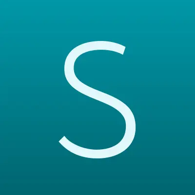 Sky Send, терминал, лого-визитка